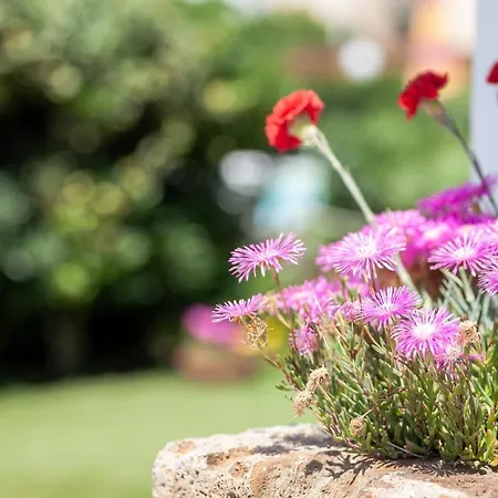 Primavera Sul Mare Lido Di Savio