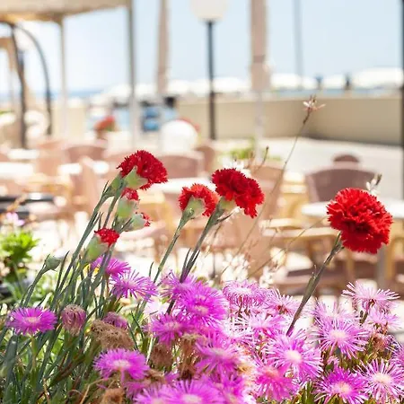 Primavera Sul Mare Hotell Lido Di Savio
