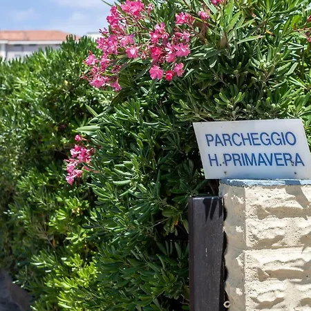 Primavera Sul Mare 3* Ravenna