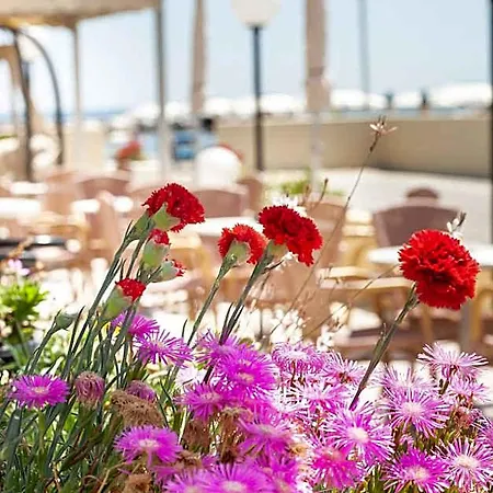 Hotel Primavera Sul Mare Lido Di Savio