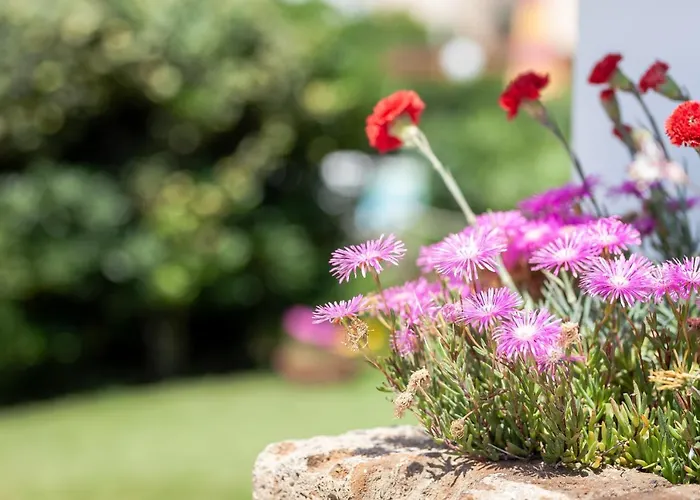 Primavera Sul Mare Ravenne